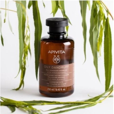 Apivita Champú Anticaspa Cabello Graso 2