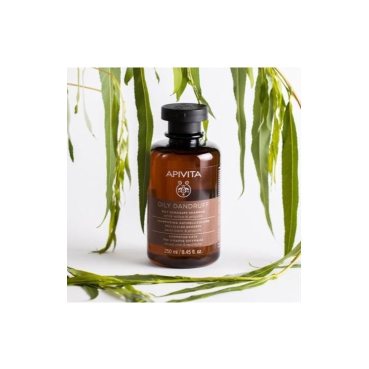 Apivita Champú Anticaspa Cabello Graso