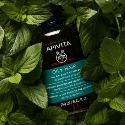 Apivita Champú Equilibrante para Cabello Graso 2