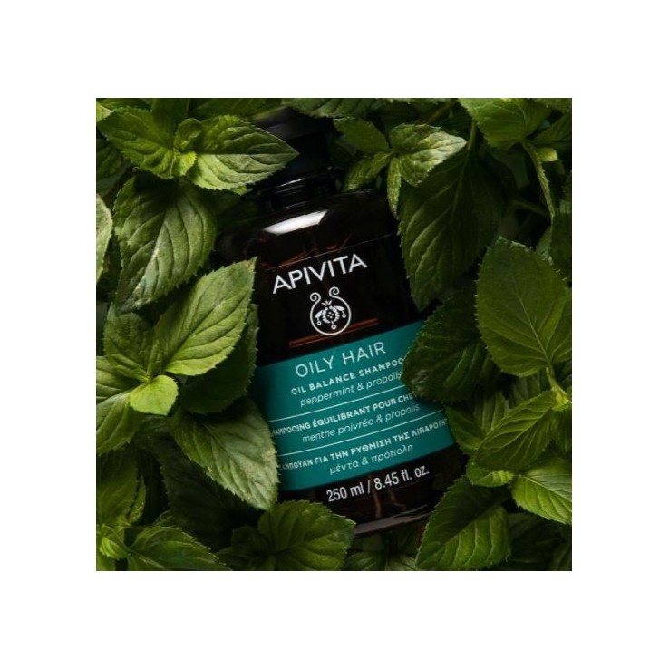 Apivita Champú Equilibrante para Cabello Graso