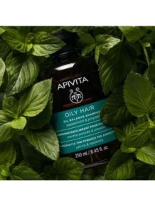 Apivita Champú Equilibrante para Cabello Graso