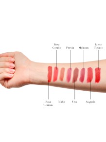 Barra de labios Luminosa BIO Helan