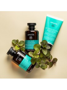 Apivita Champú Equilibrante Raíz Grasa y Puntas Secas