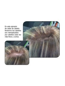 VOLUME HAIR - Densificador Fibras capilares