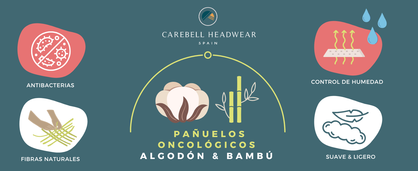 termorregulador (1).png